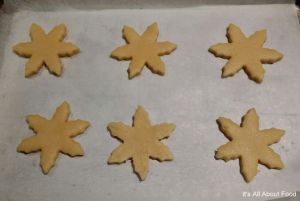 Frozen Cookies13